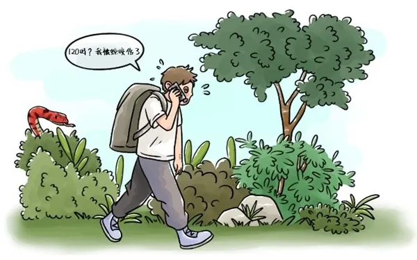 1.2.jpg 图片