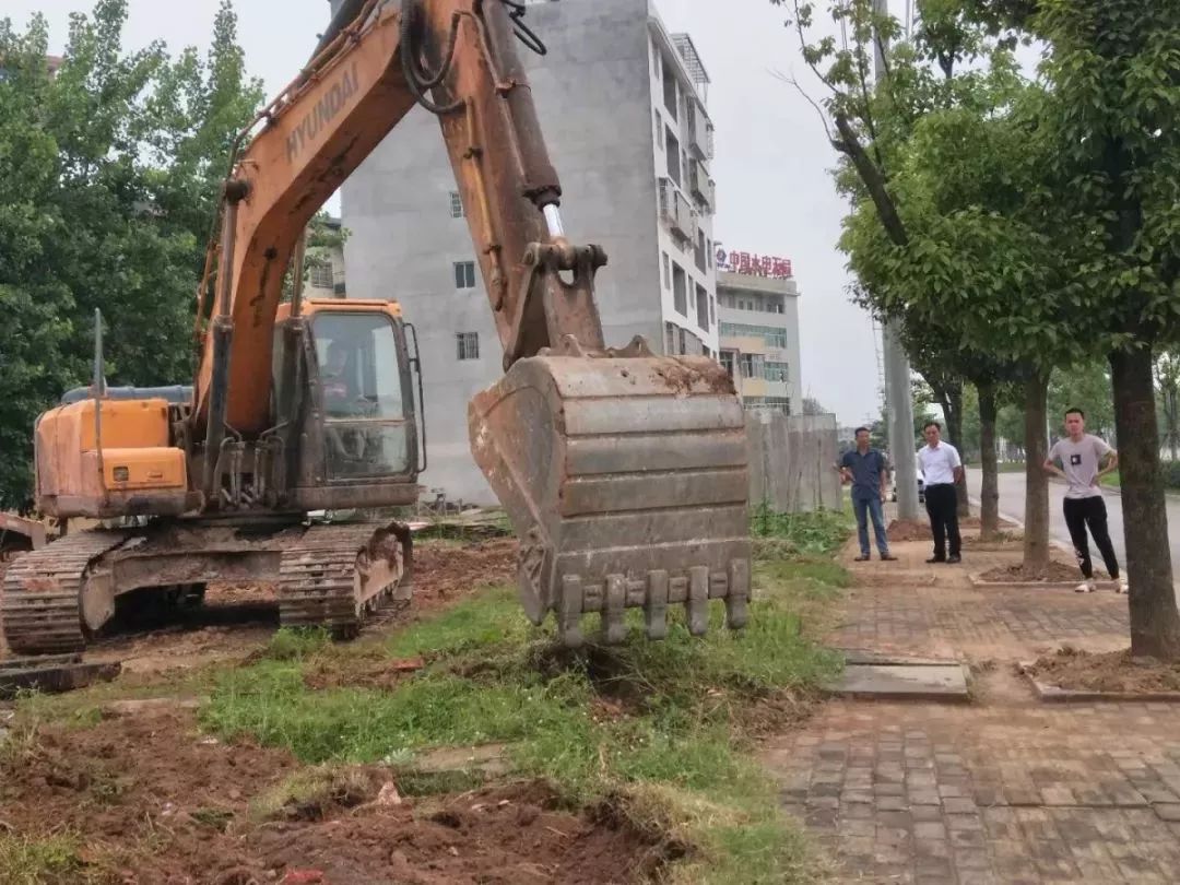 微信图片_20190520094321.jpg
