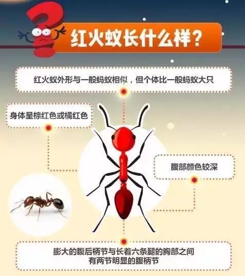 微信图片_20181205102944.png