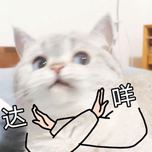 src=http___wx1.sinaimg.cn_large_006APoFYly8gpx54m5g9og308c08cta1.gif&refer=http___wx1.sinaimg.gif