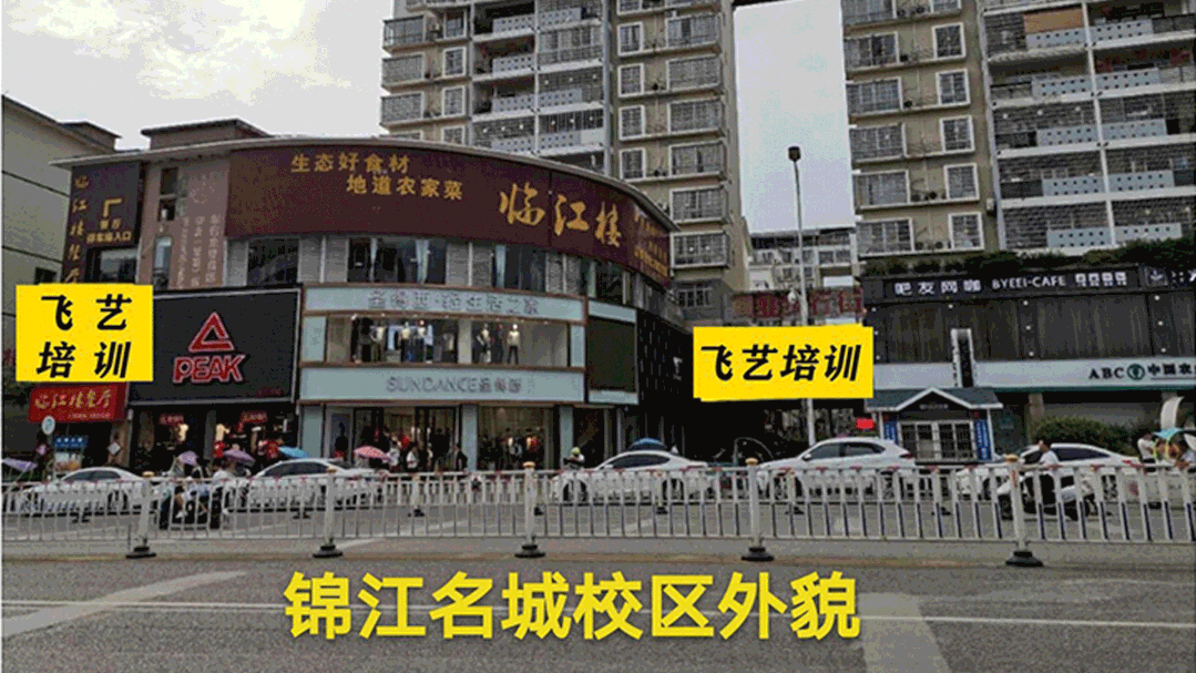 飞艺.gif