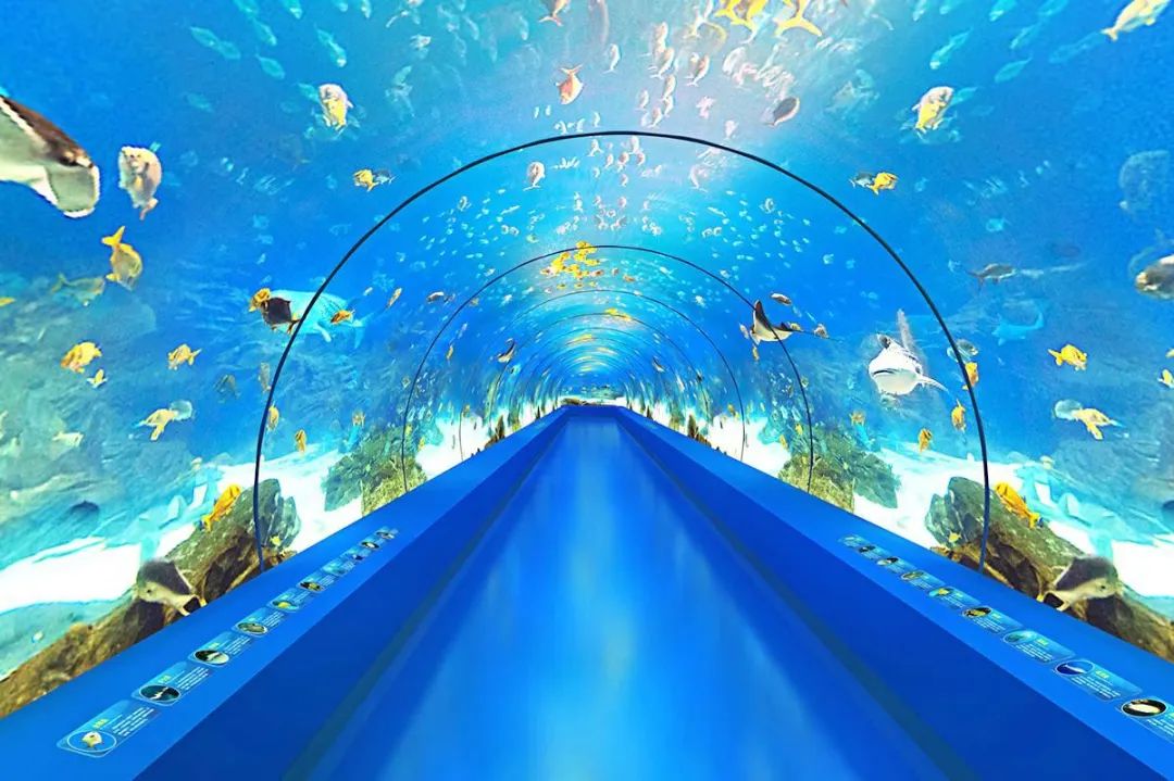 微信图片_20200710182924.jpg