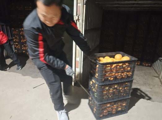 1703119798947000700.png