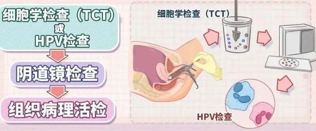 图片1(2) 拷贝副本.jpg