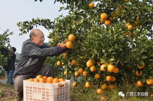 微信图片_20190305135828.jpg 微信图片_20190305135828.jpg
