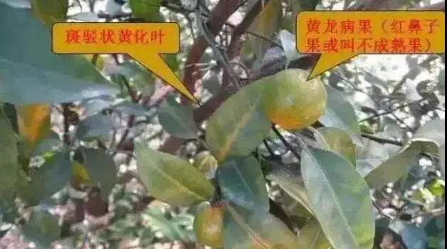 微信图片_20190317084737.jpg 微信图片_20190317084737.jpg