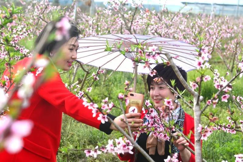 微信图片_20190319083438.jpg 微信图片_20190319083438.jpg