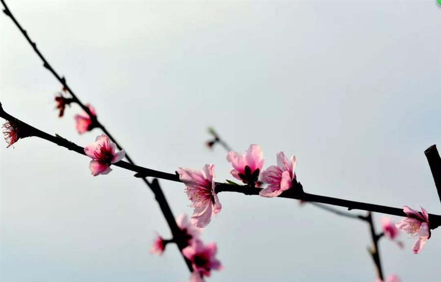 微信图片_20190319083547.jpg 微信图片_20190319083547.jpg