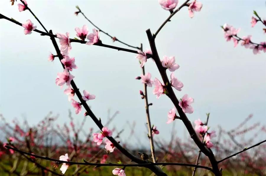 微信图片_20190319083550.jpg 微信图片_20190319083550.jpg