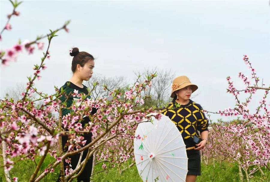 微信图片_20190319083738.jpg 微信图片_20190319083738.jpg