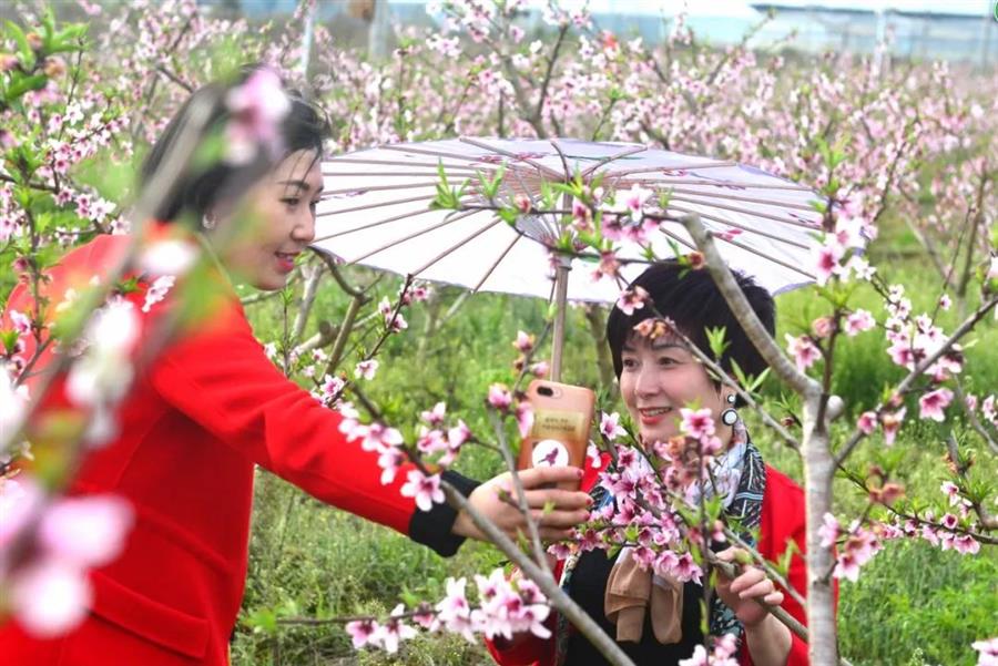 微信图片_20190319083752.jpg 微信图片_20190319083752.jpg