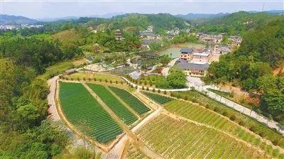 微信图片_20190325160821.jpg 微信图片_20190325160821.jpg