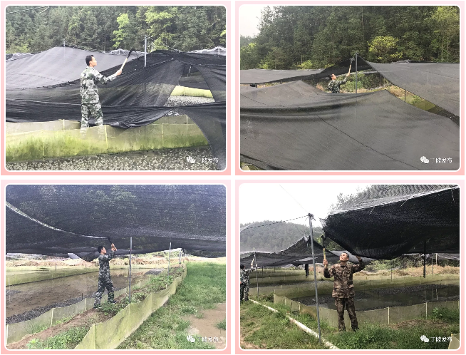 微信图片_20190404084337.png 微信图片_20190404084337.png