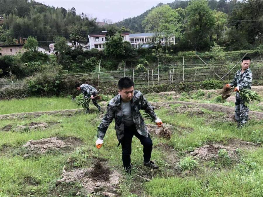 微信图片_20190415083742.jpg 微信图片_20190415083742.jpg