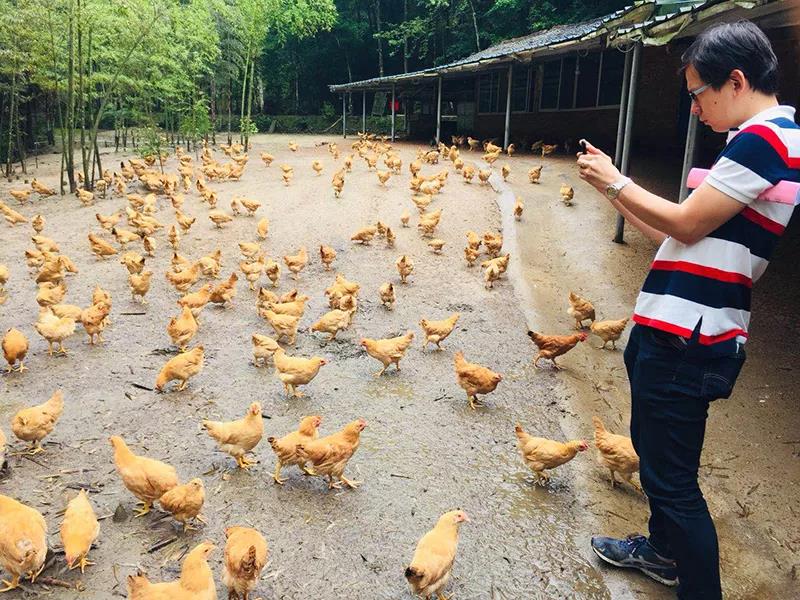 微信图片_20190424100305.jpg 微信图片_20190424100305.jpg