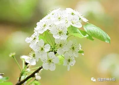 微信图片_20190505102846.jpg 微信图片_20190505102846.jpg