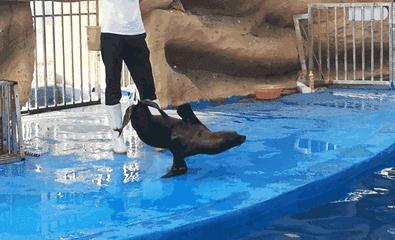 微信图片_20190517143505.gif 微信图片_20190517143505.gif