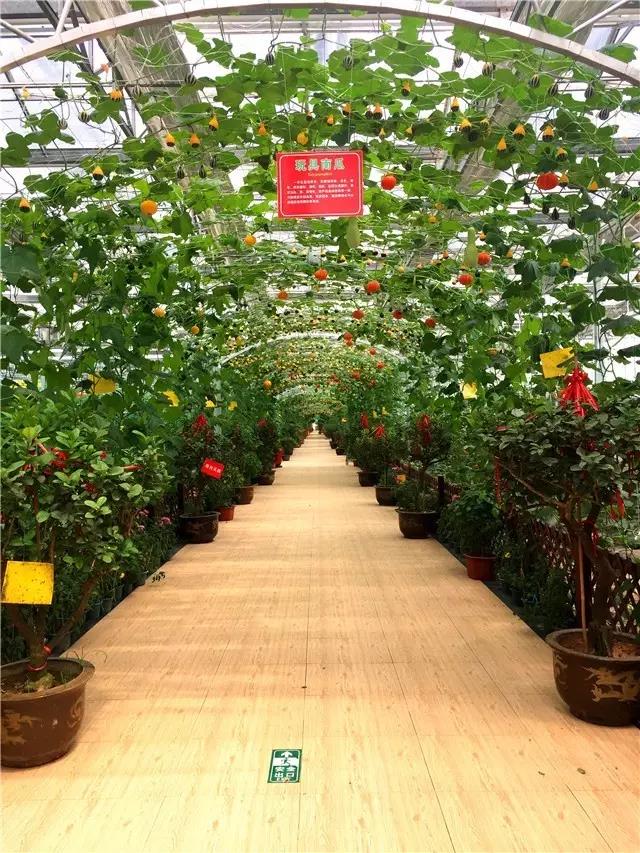 微信图片_20190517144304.jpg 微信图片_20190517144304.jpg