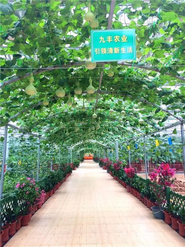 微信图片_20190517144306.jpg 微信图片_20190517144306.jpg