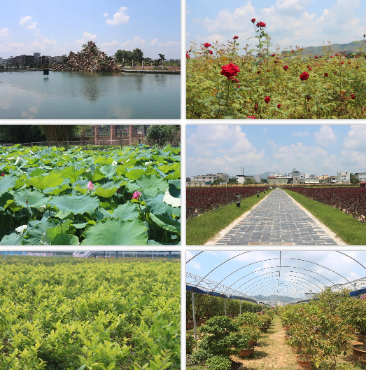 微信图片_20190609092130.png 微信图片_20190609092130.png