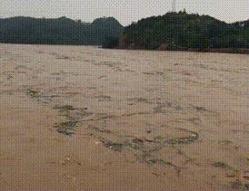 微信图片_20190613171300.gif 微信图片_20190613171300.gif
