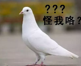 image.png image.png